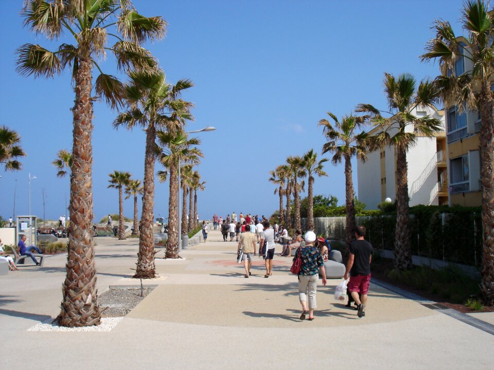 Promenade palm walk