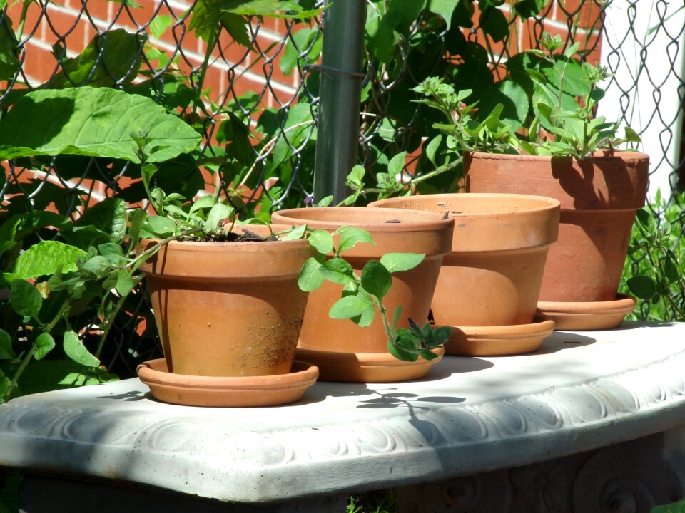 Ceramic craft earthenware
