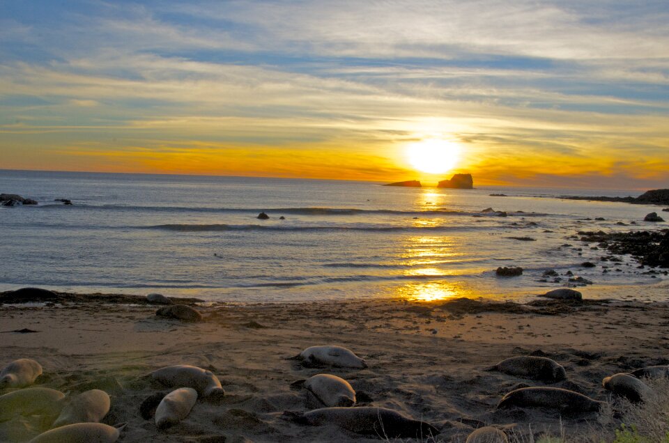Sunset beach sea
