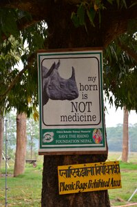 Rhino poachers conservation