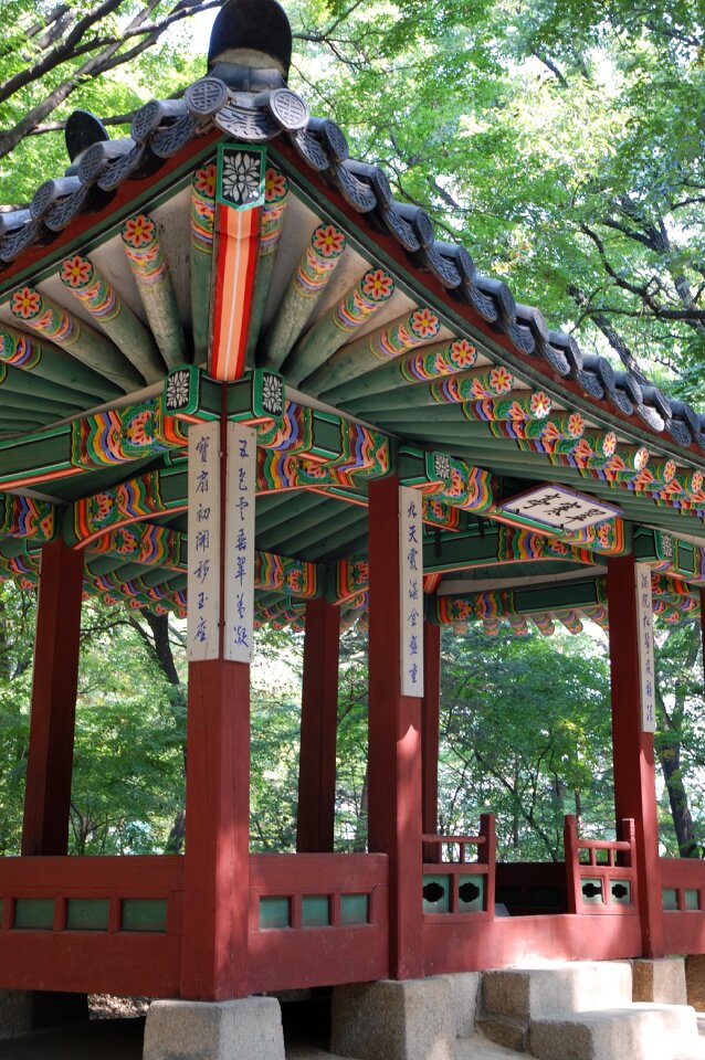 Landscape south korea spring
