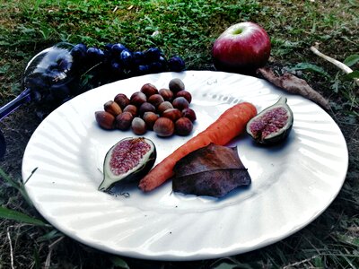 Nuts fruit vegetables