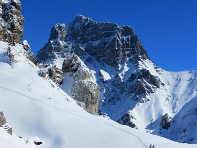 Nature snowy muveran