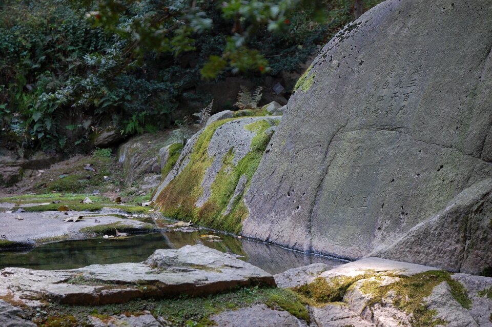 Landscape south korea spring