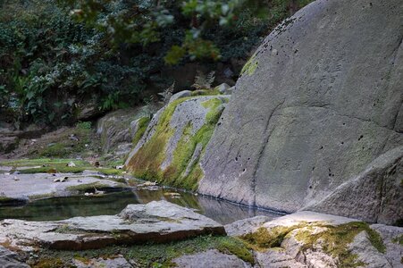 Landscape south korea spring