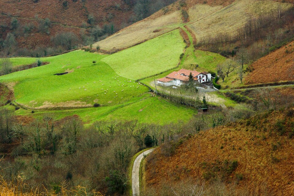 Basque country pastures farm