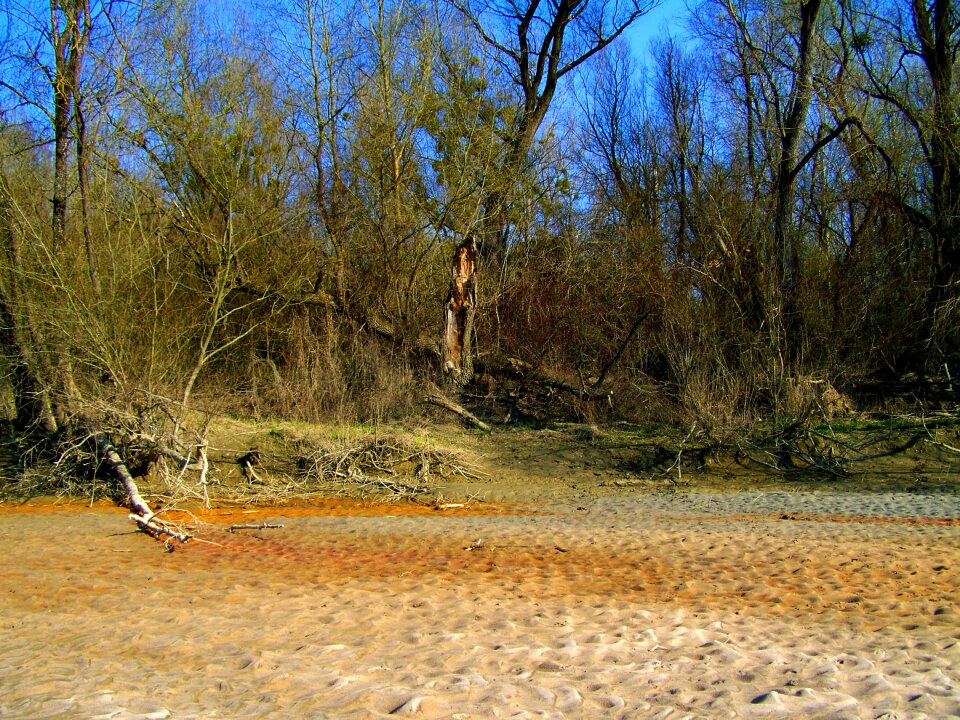 Untouched nature drava sandy beach