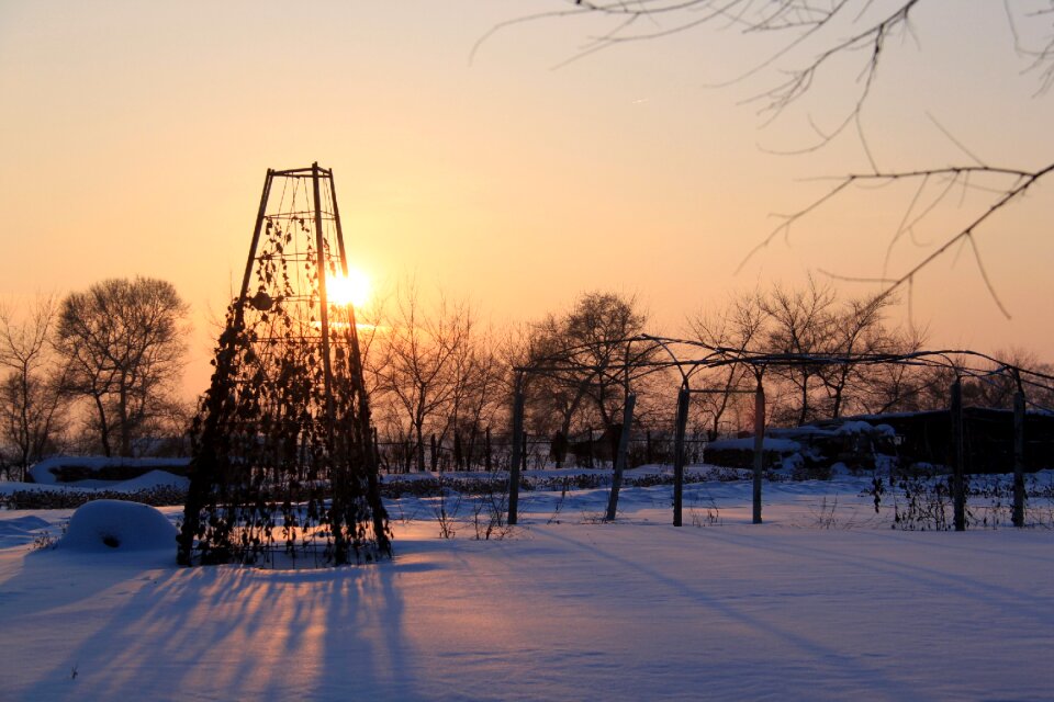 Winter nature landscape