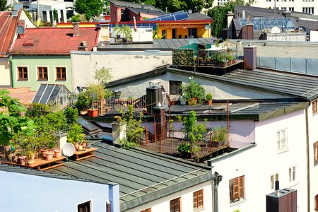 Garden housetop roof