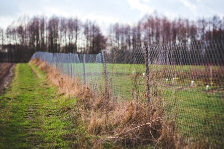 Protection nature countryside photo