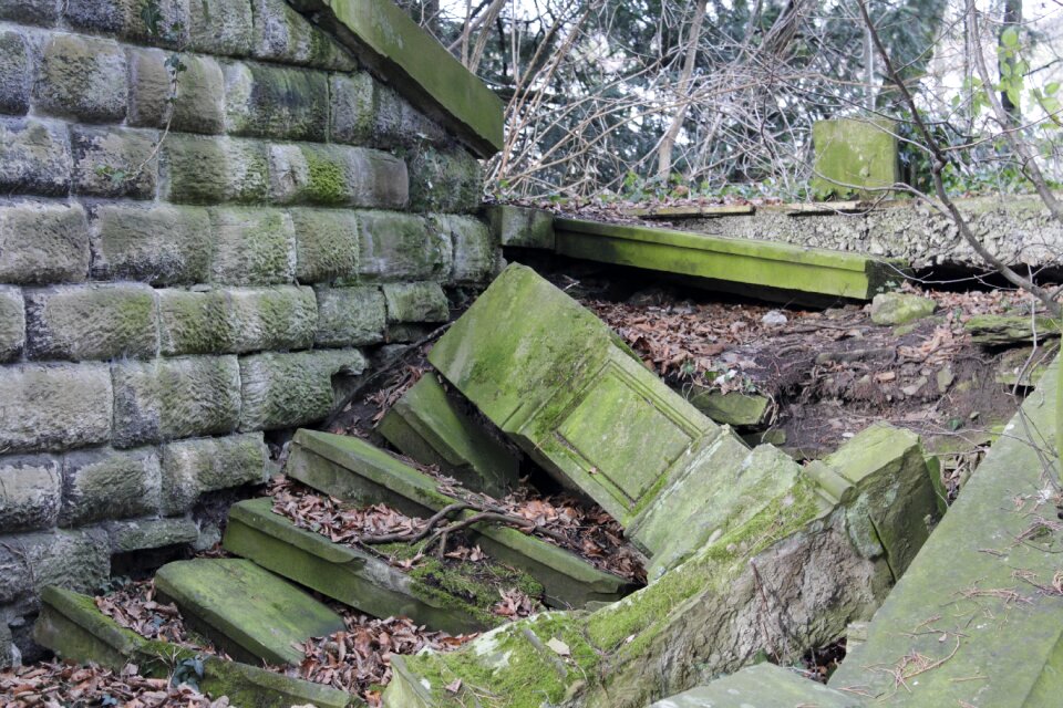 Moss break up stone steps