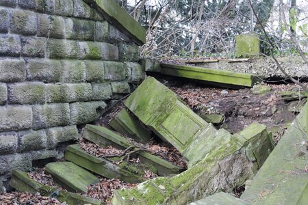 Moss break up stone steps photo