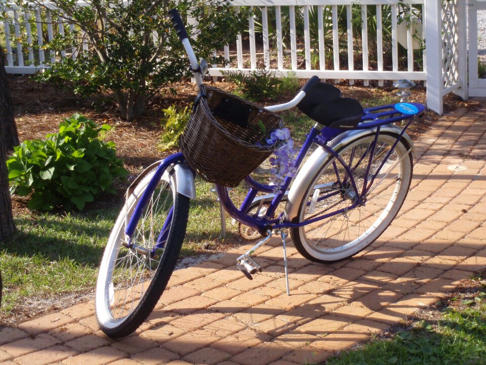 Healthy cycling cycle