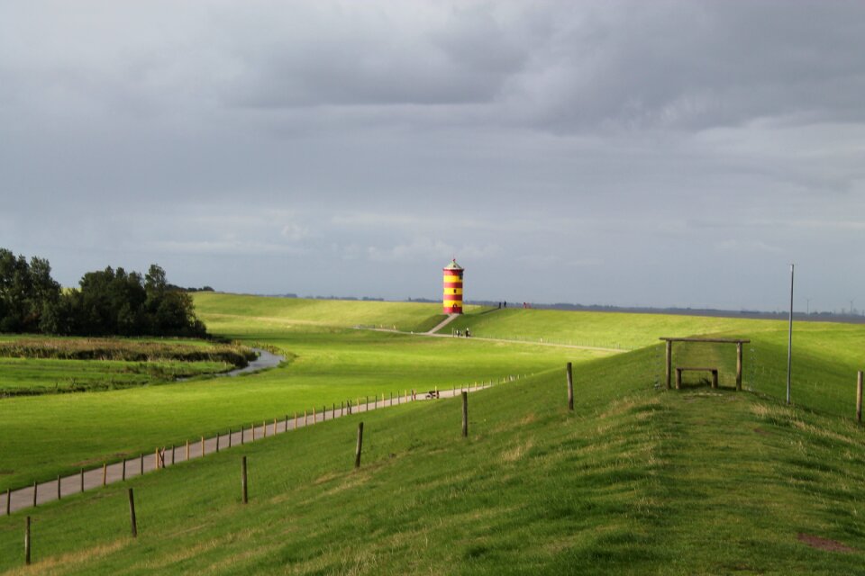 Dike nature reserve landscape