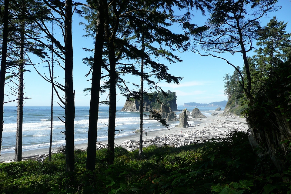 Usa landscape shoreline