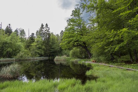 Nature conservation wetland nature reserve