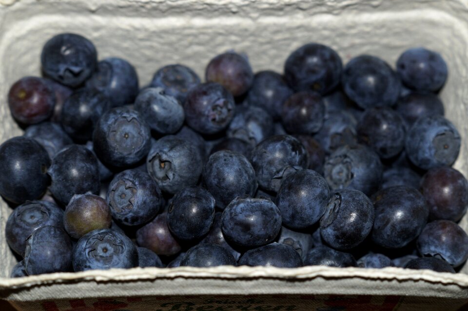 Blue fruits delicious