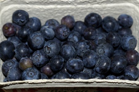 Blue fruits delicious photo