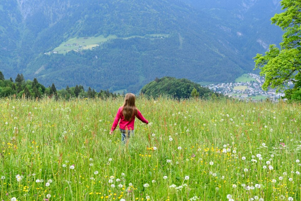 Meadow grass walk
