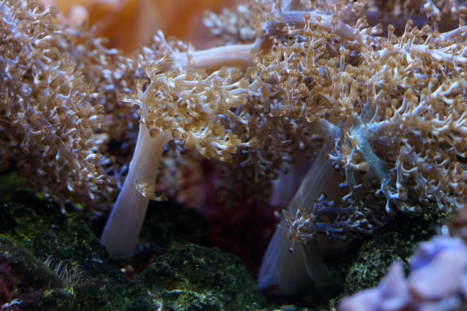 Ocean underwater sea