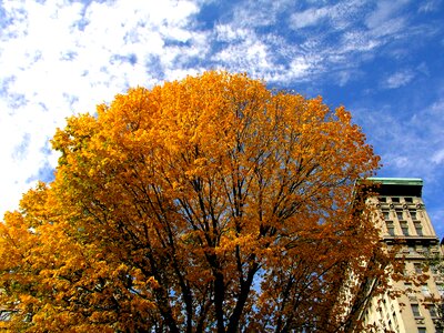 Sky autumn environment