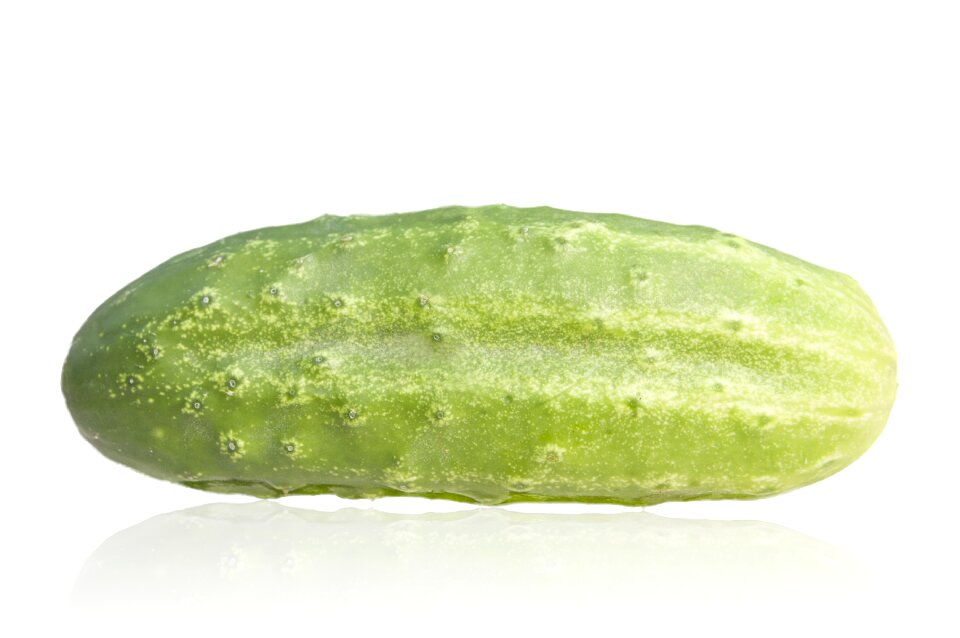 The shadow of cucumber vegetable green cucumber