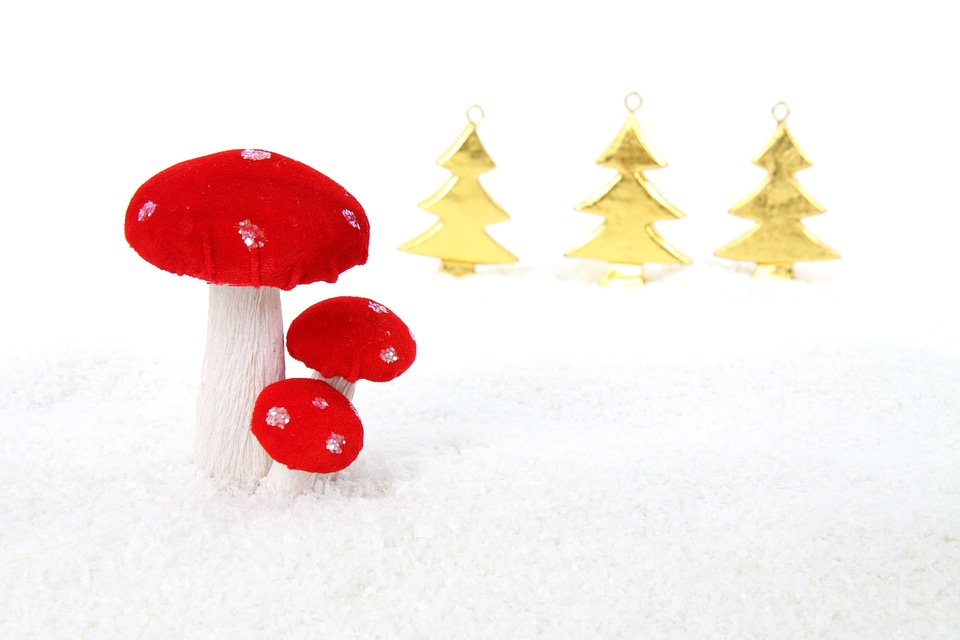Holiday isolated mushroom