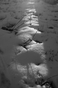Shadow thawed patches grass