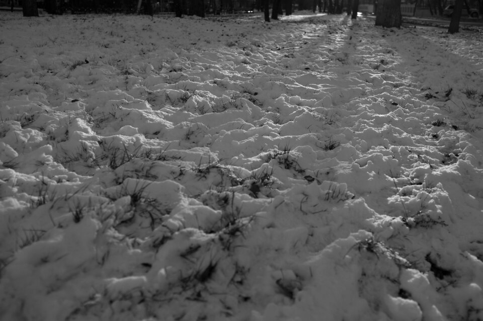 Shadow thawed patches grass