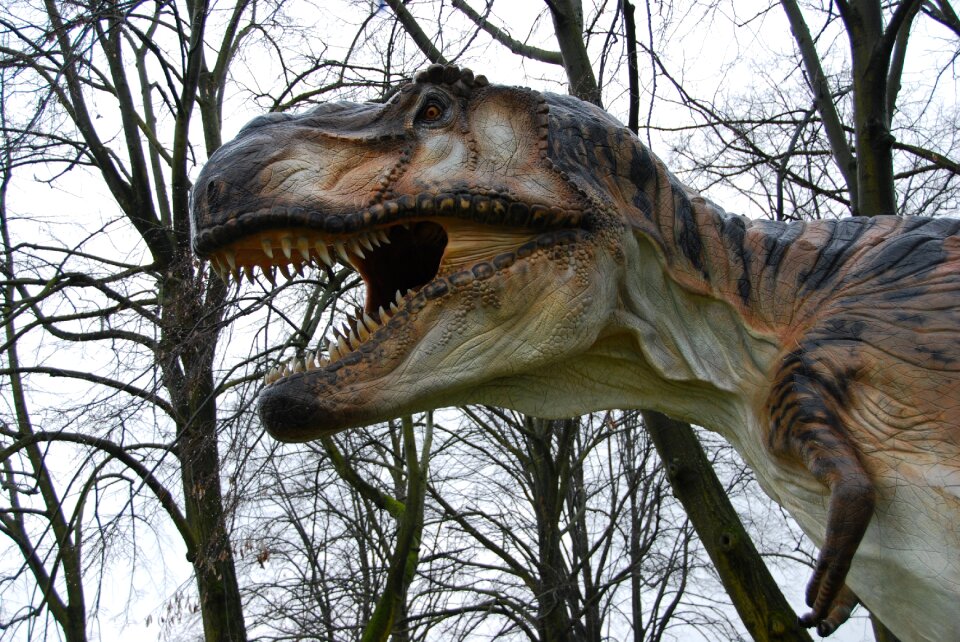 Dinosaurs teeth monza park