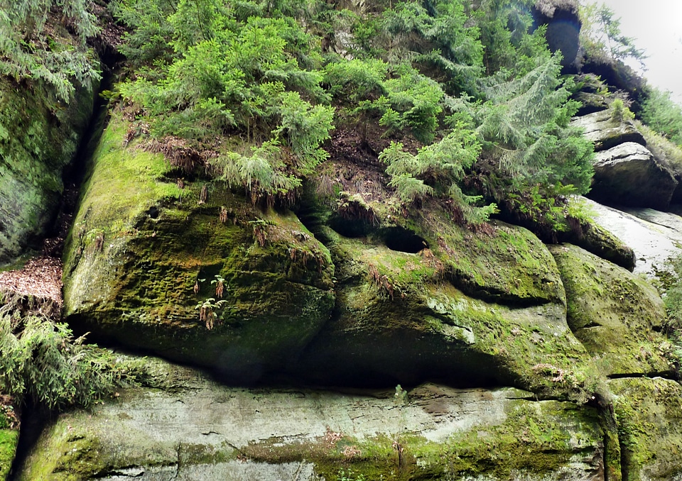 Bohemian switzerland czech republic landscape