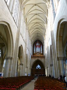 Organ gothic vault historically