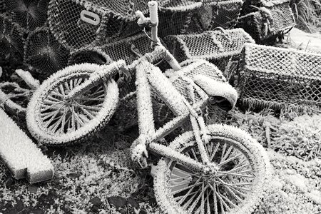Snow cold bicycle photo