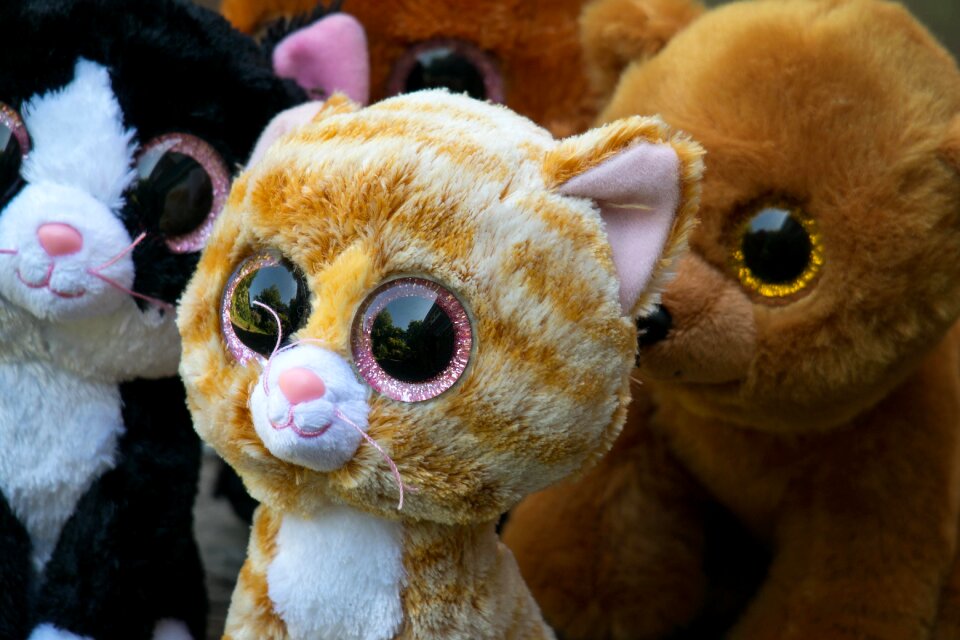 Cat teddy bear toys