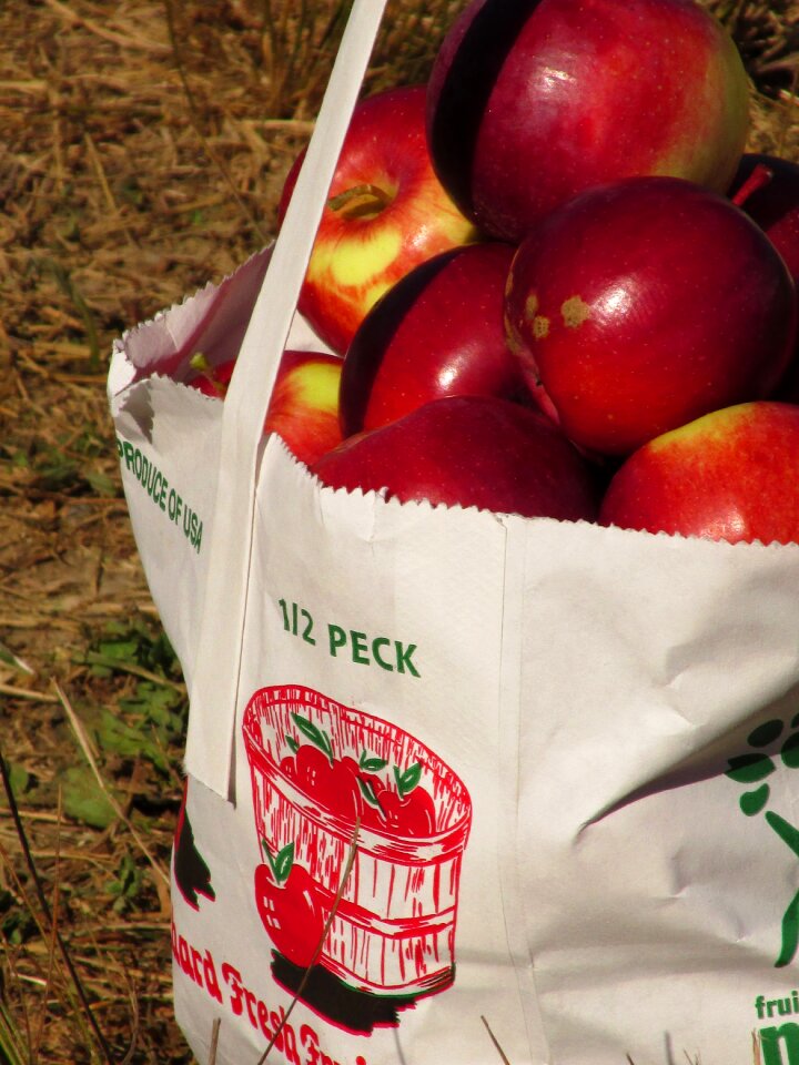 Red fresh healthy