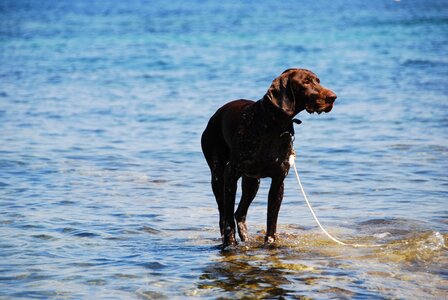 Sea water summer