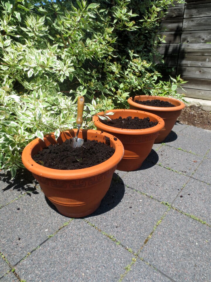 Natural organic soil