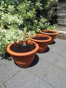 Natural organic soil