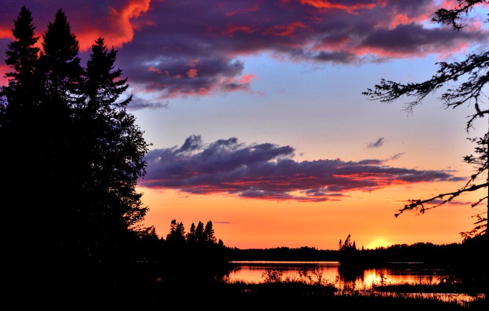 Orange twilight trees photo