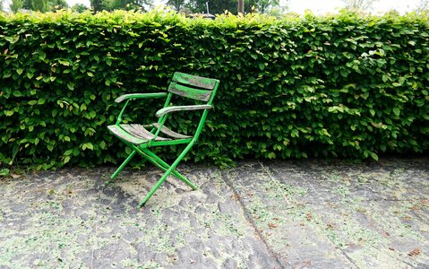 Hedge shrubs seating furniture photo