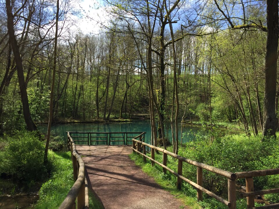 Green turquoise sun