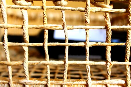 Wine basket grid protection photo