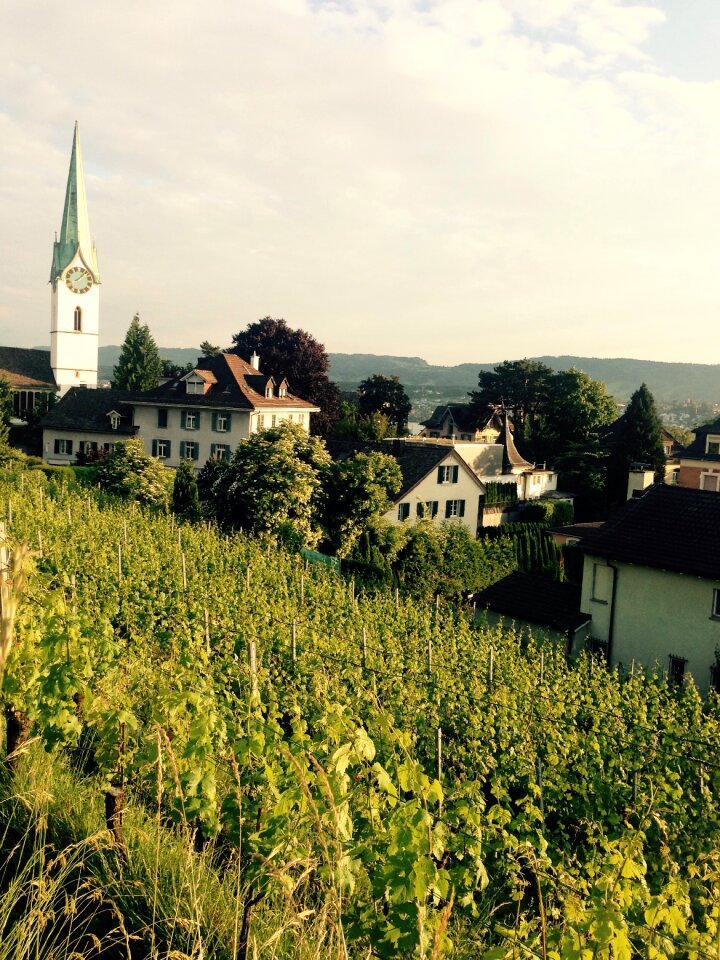 Grapes church village