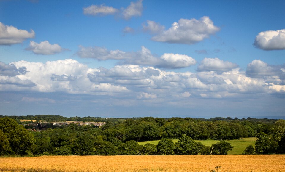 Blue scenery field