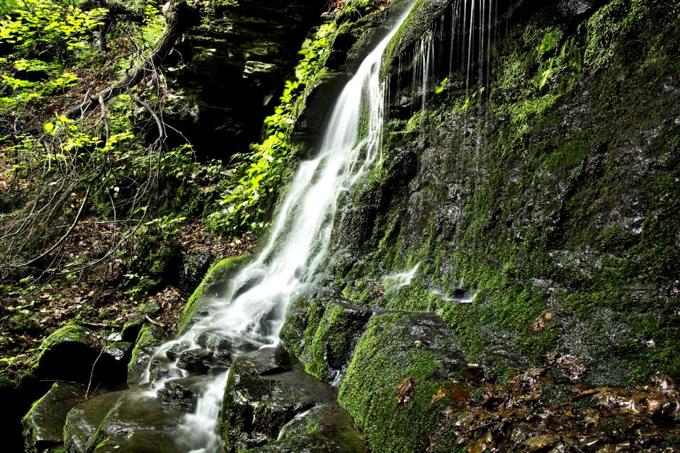 Water rock flowing photo