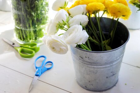 Flower arrangement flower arranging stems