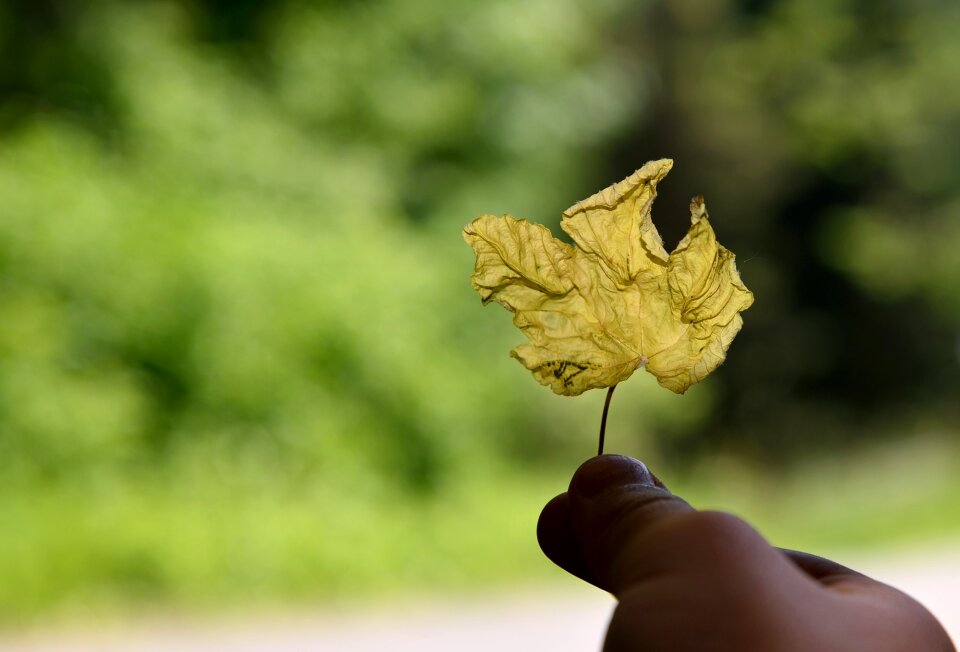 Keep finger nature