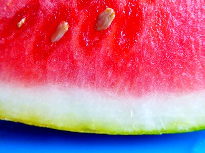 Cores fruit fresh