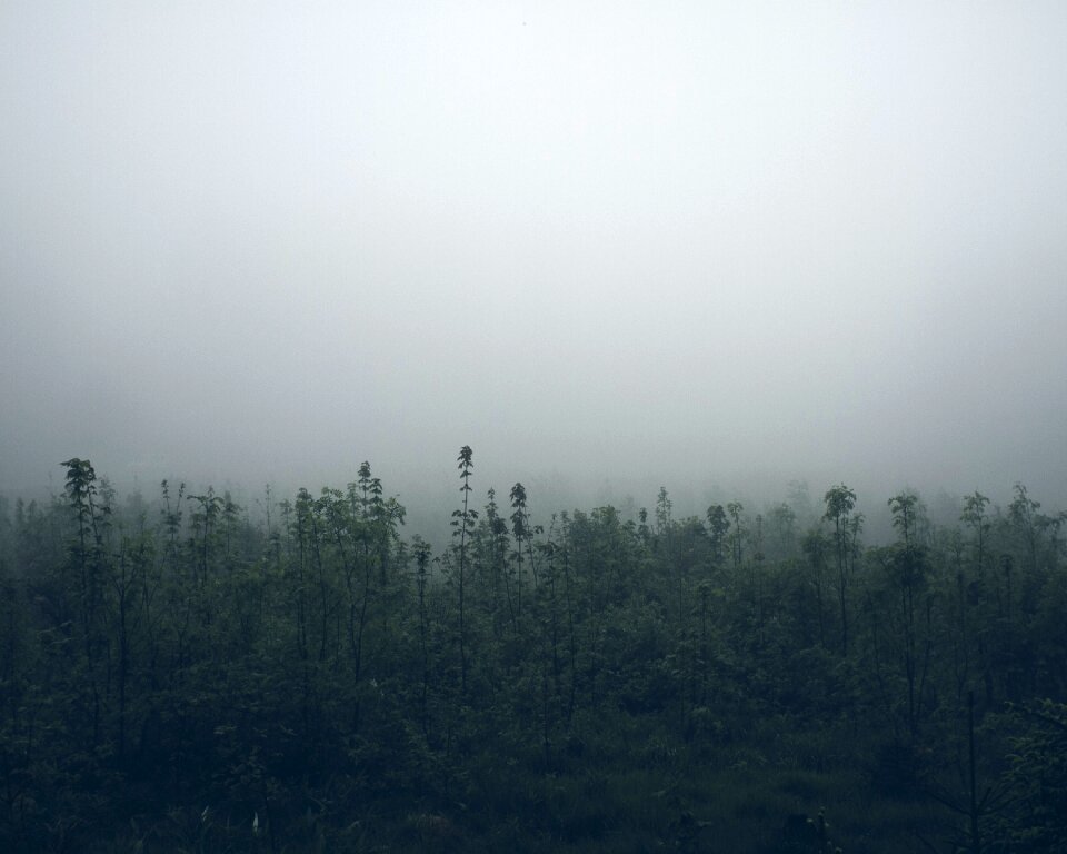 Mist mystic atmospheric