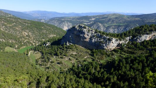 Calcareous gol alt urgell